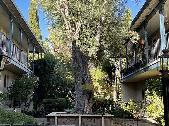 Front entry area to apartment