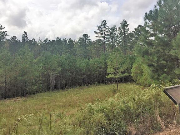 5th image of 303 Golden Oak Dr