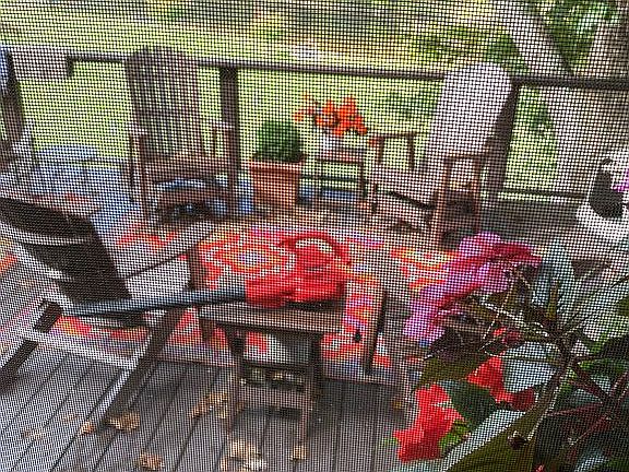 Deck overlooking the river