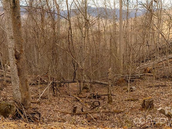 3rd image of 0 Eliotts Loop #123 & 124