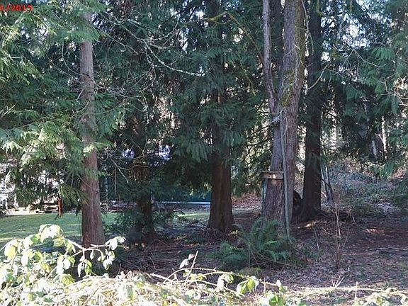 4th image of 10404 190th Avenue Ct E