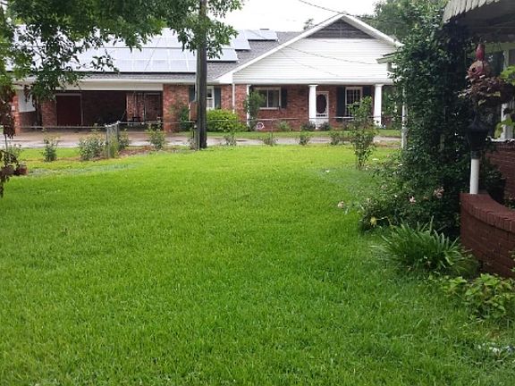 5th image of 1317 Horseshoe Dr