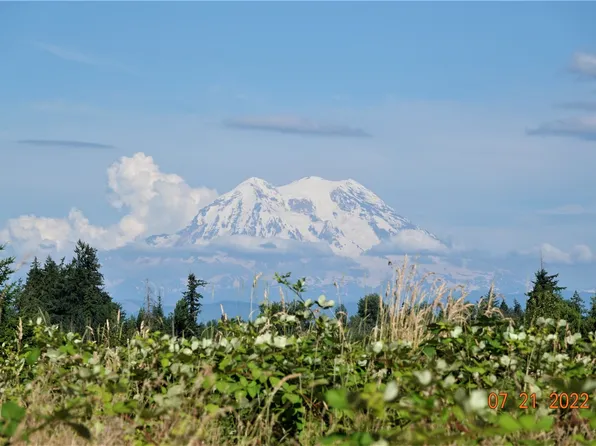 13918 Old Farm Lane SE, Yelm, WA 98597