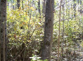 0 N Daisy Ln, Ojibwa, WI 54862