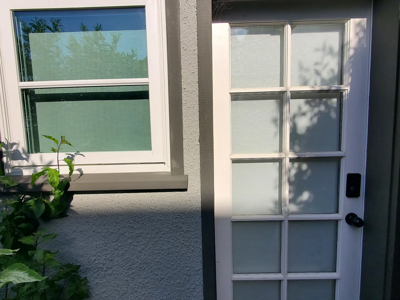 Studio, 299 sqft, $1,800 — Photo 3