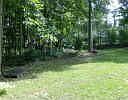 woodsy view, private