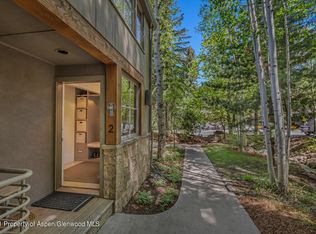100 N 8th St UNIT 2, Aspen, CO 81611