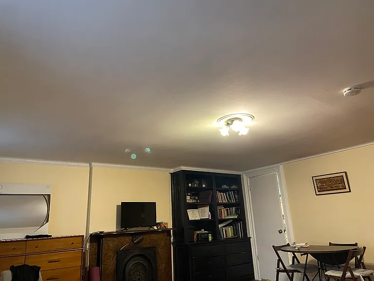 Living room + fireplace + built-in bookcases (furnished)