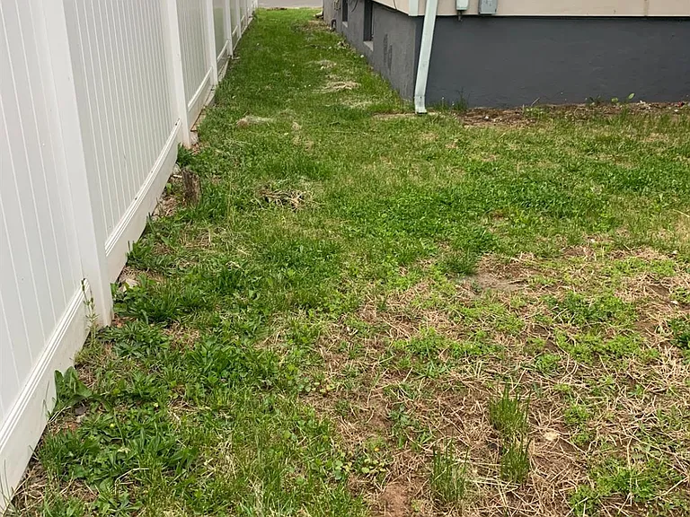 47 Holly St #2 — Photo 26