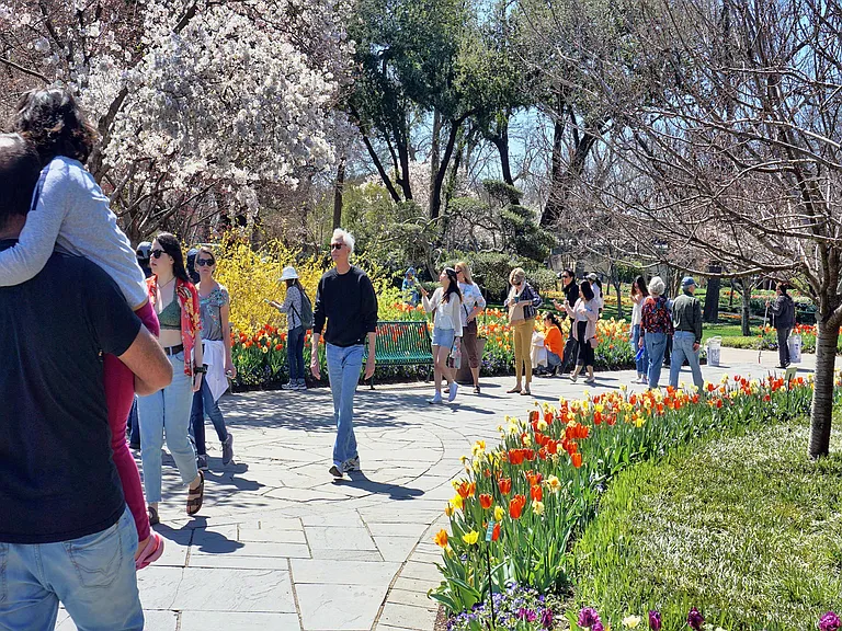 Spend time with friends and family at The Dallas Arboretum and Botanical Garden.