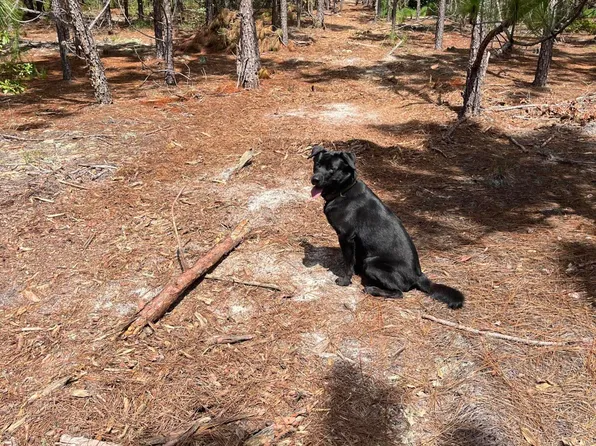 Bff 1a Brunson Teal Rd #Bff-1a, Patrick, SC 29584