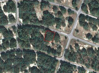 0 Fisher Ter #4, Ocklawaha, FL 32179