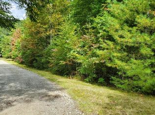 48 Leatherbreeches Dr, Tuckasegee, NC 28783