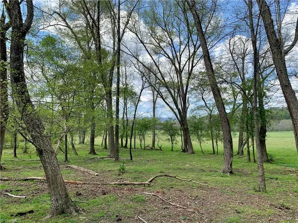 0 Elastic Plant Rd, Stuart, VA 24171