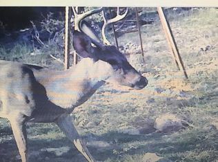 0 Fairview Rd, Rocksprings, TX 78880