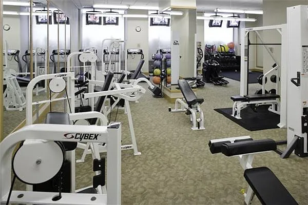 Rented by Nancy Packes Inc. | media 6