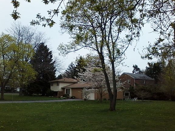 2nd image of 10871 Boyd Dr