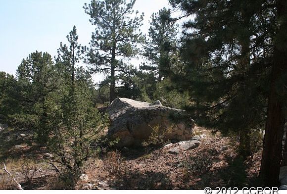 1st image of 30160 Princeton Cir