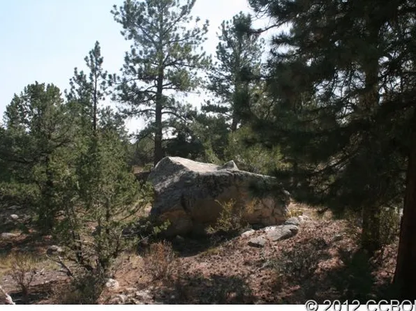 30160 Princeton Cir, Buena Vista, CO 81211