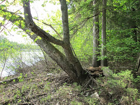 5th image of Tbd Skyline Tahquamenon Riv