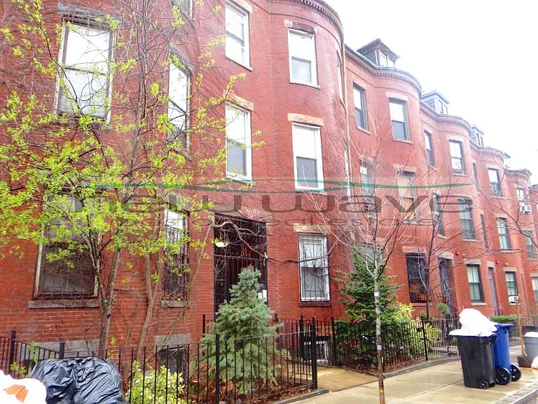 206 Northampton St #3 — Photo 16