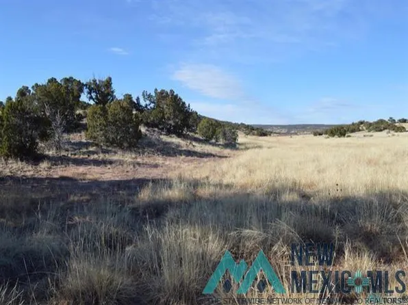 Prewitt Rd, Prewitt, NM 87045