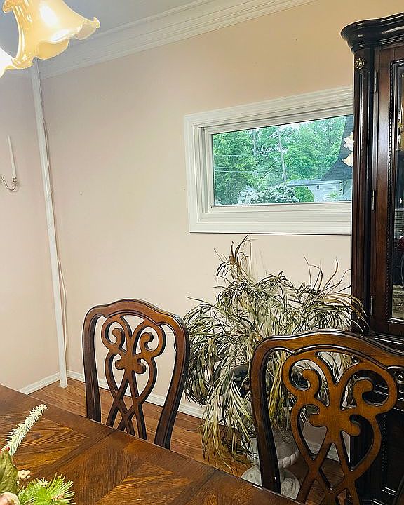 Dining RM./Nature Clear Wdow
