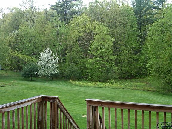 Back Yard from Deck