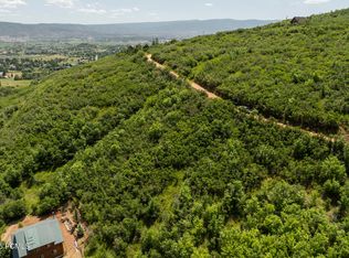 102 Alphorn Way #102, Midway, UT 84049