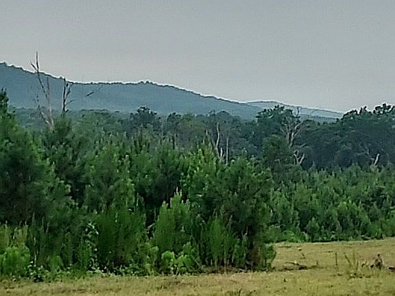 5th image of 0 Carlisle Gap Rd