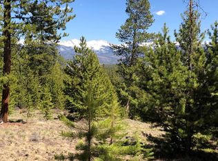 111 Gcr #5118, Fraser, CO 80442