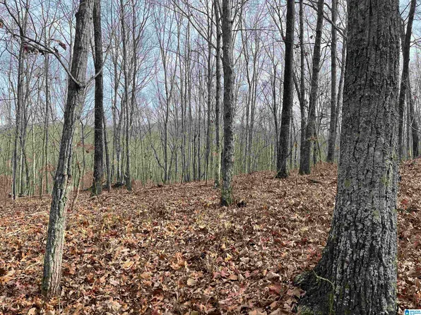 0 County Road 852, Heflin, AL 36264