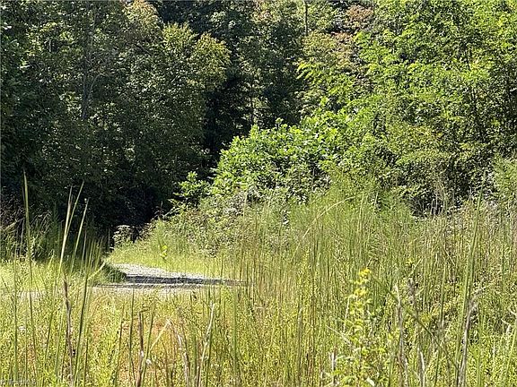 4th image of Off Bauguess Mill Rd Lot 31