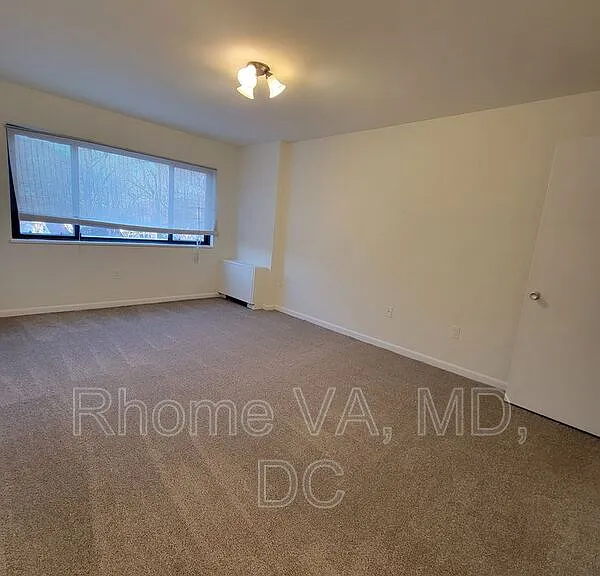 8830 Piney Branch Rd #403 — Photo 10