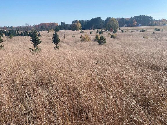 5th image of 17.5 Creighton Rd SW #A