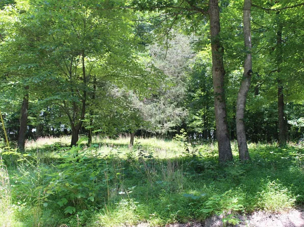 0 Perry Springs Rd, Eddyville, KY 42038