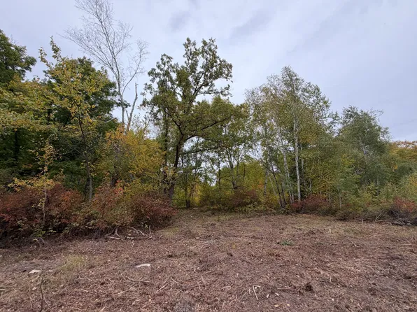 51315 Sand Creek Rd, Bruno, MN 55712