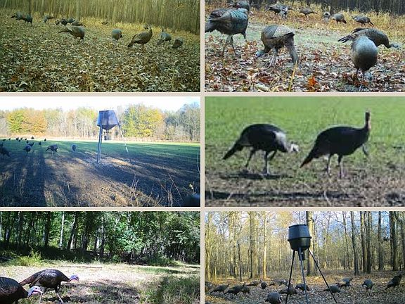 21st image of this home