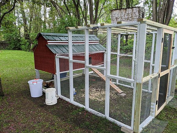 Backyard Chicken Coop