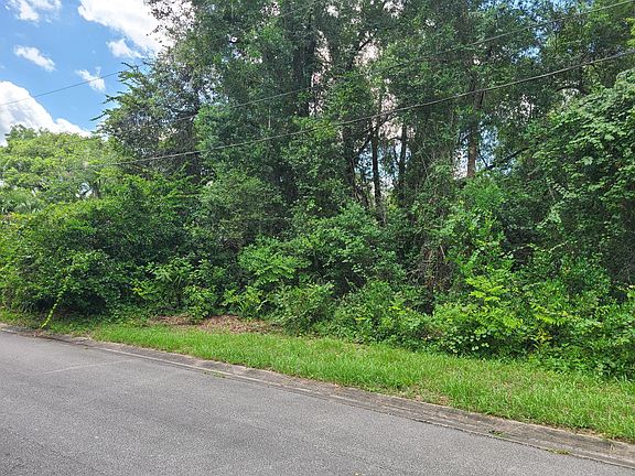 3rd image of 0 W Winnemissett Ave