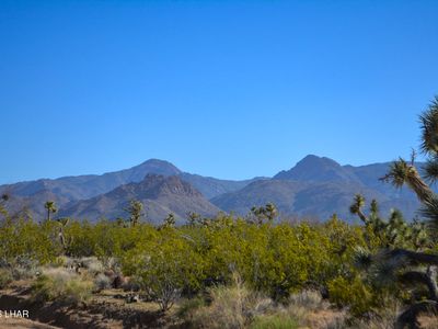 2641 S Javalina Rd, Yucca, AZ, 86438