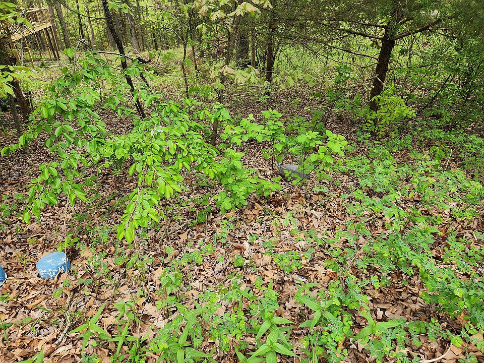 2nd image of 000 County Road 331l
