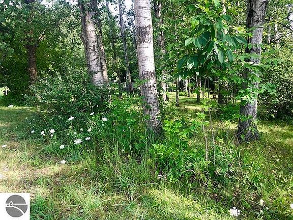3rd image of 7952 Windoga Lake Dr