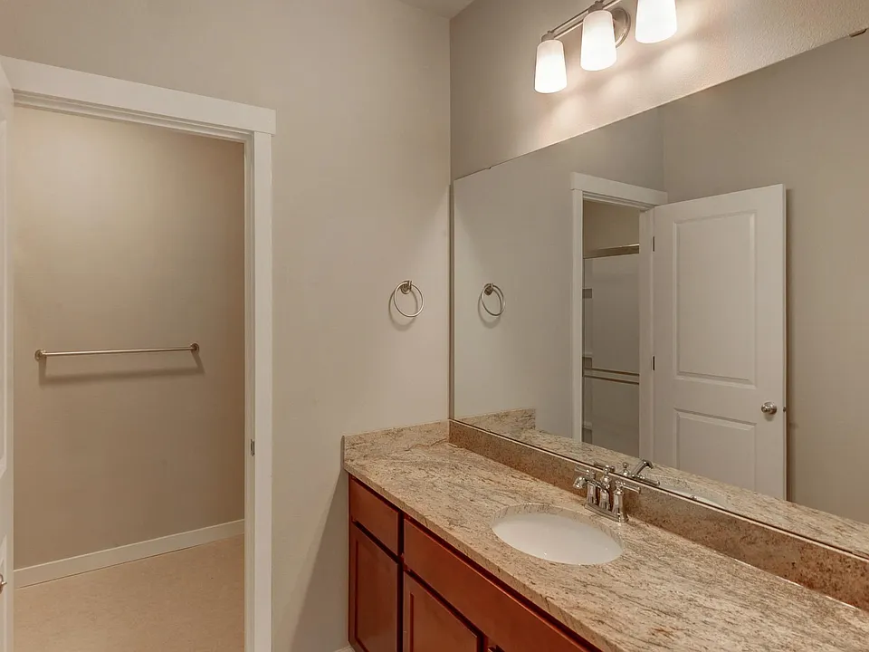 Master vanity area