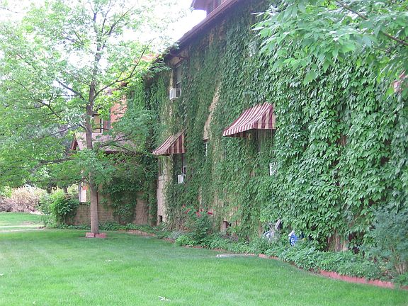 Classy Exterior in Obs Park