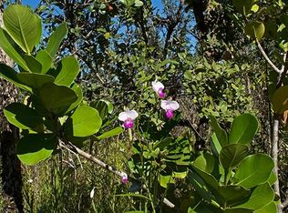 8TH Avenue LOT 2019, Keaau, HI 96749