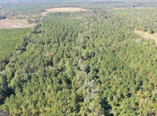 0 Upper Hawthorne Trl, Cairo, GA 39828