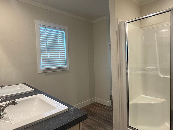 Master Bathroom Sink Shower