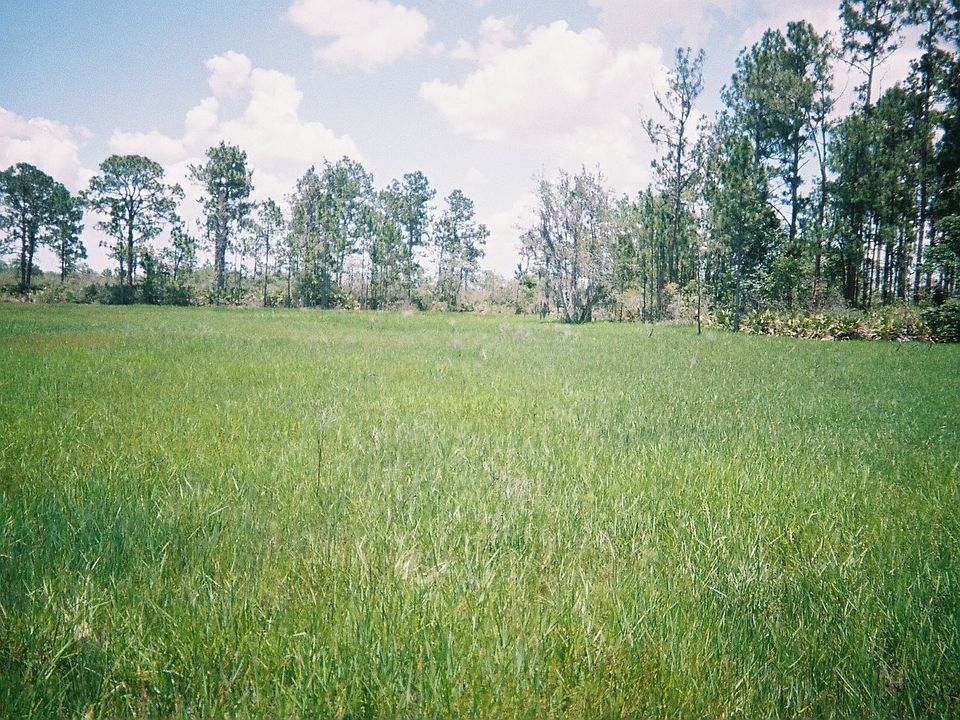 lot is in an open field 