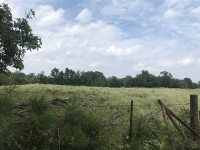 County Road 165, Long Branch, TX, 75669